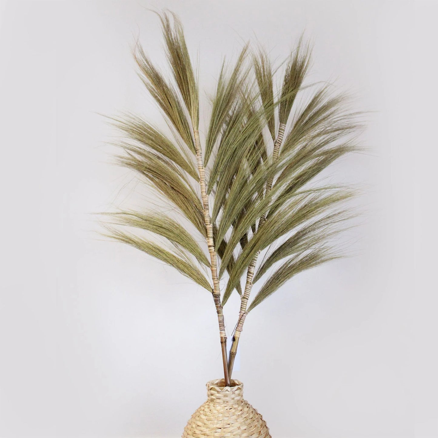 Rayung Grass Natural - 1.6M