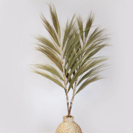 Rayung Grass Natural - 1.6M