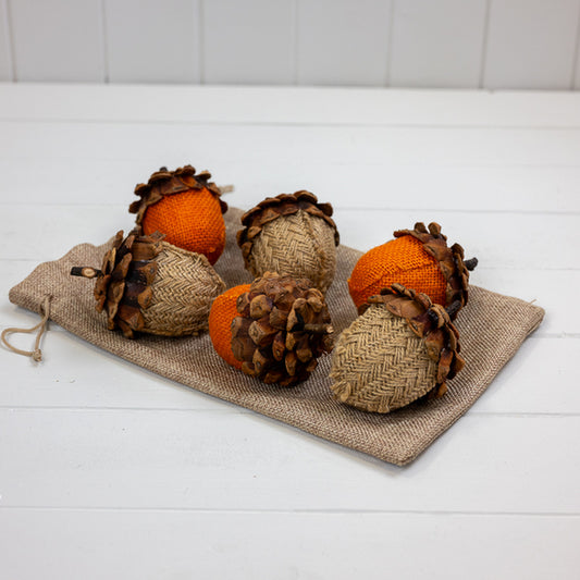 Bag of Six Acorns L6.5xH9cm