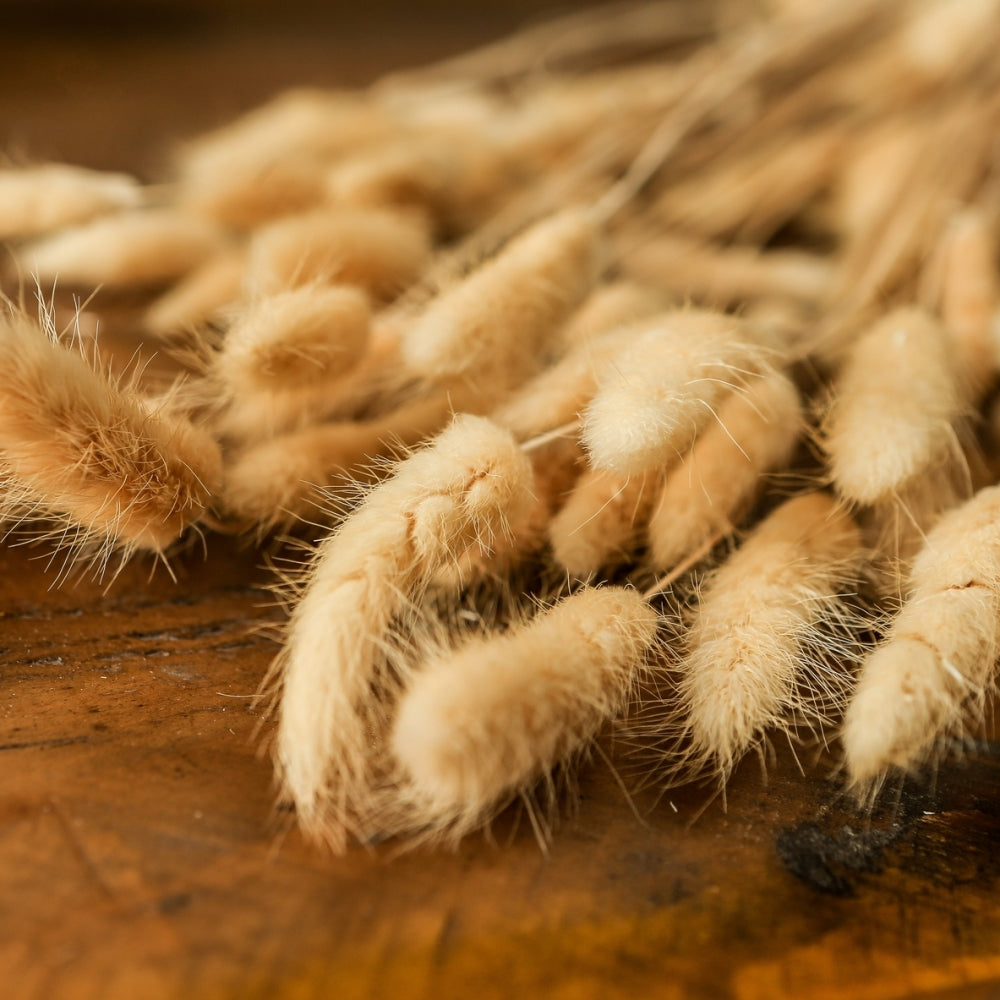 Bouquet Of Tall Bunny Tails