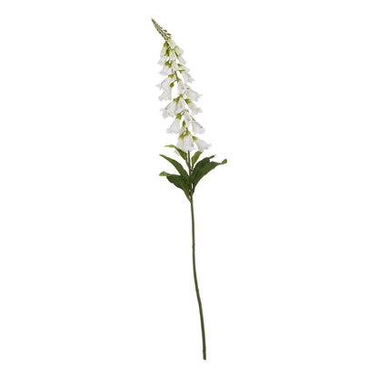 The Natural Garden Collection White Foxglove