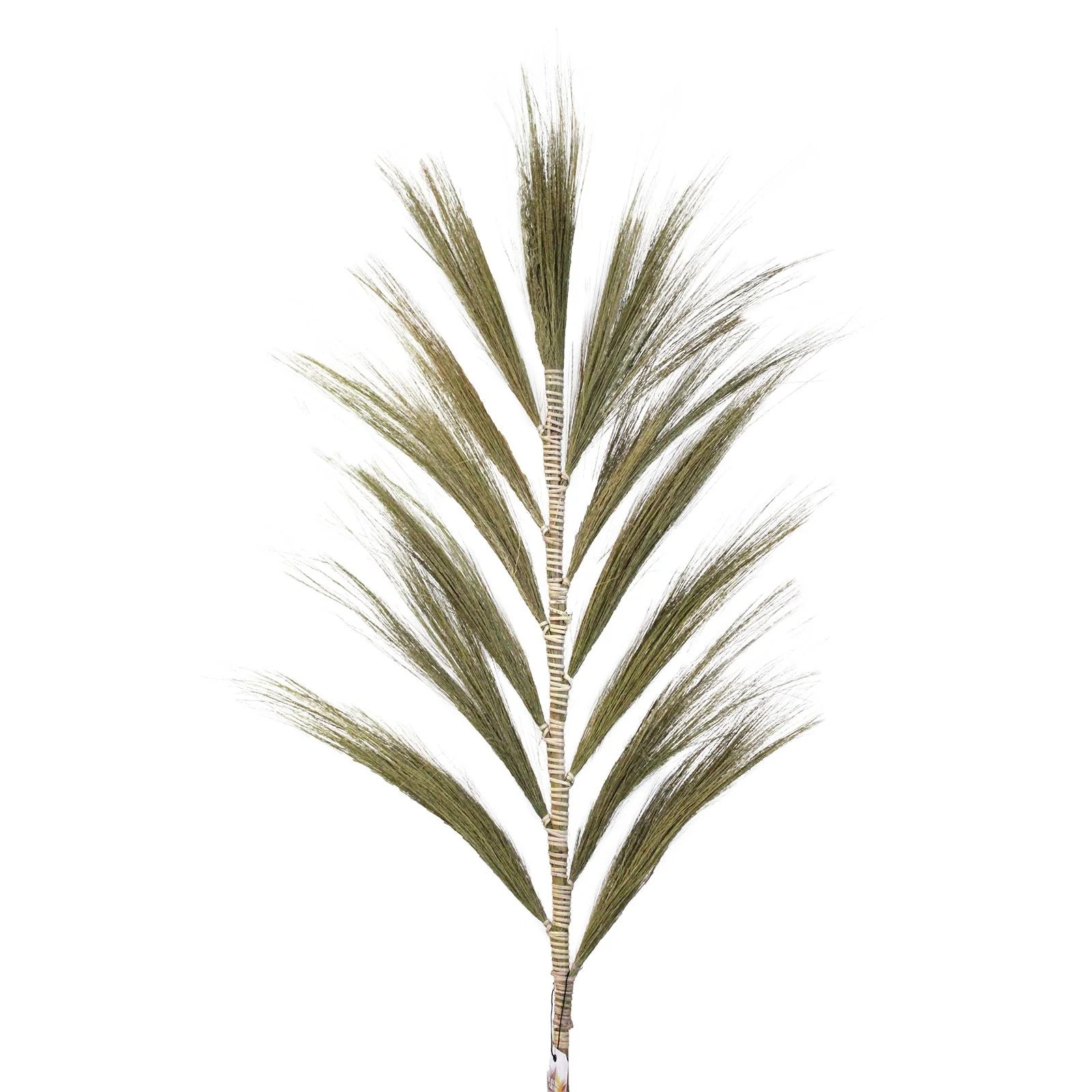Rayung Grass Natural - 1.6M