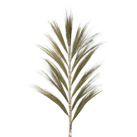 Rayung Grass Natural - 1.6M