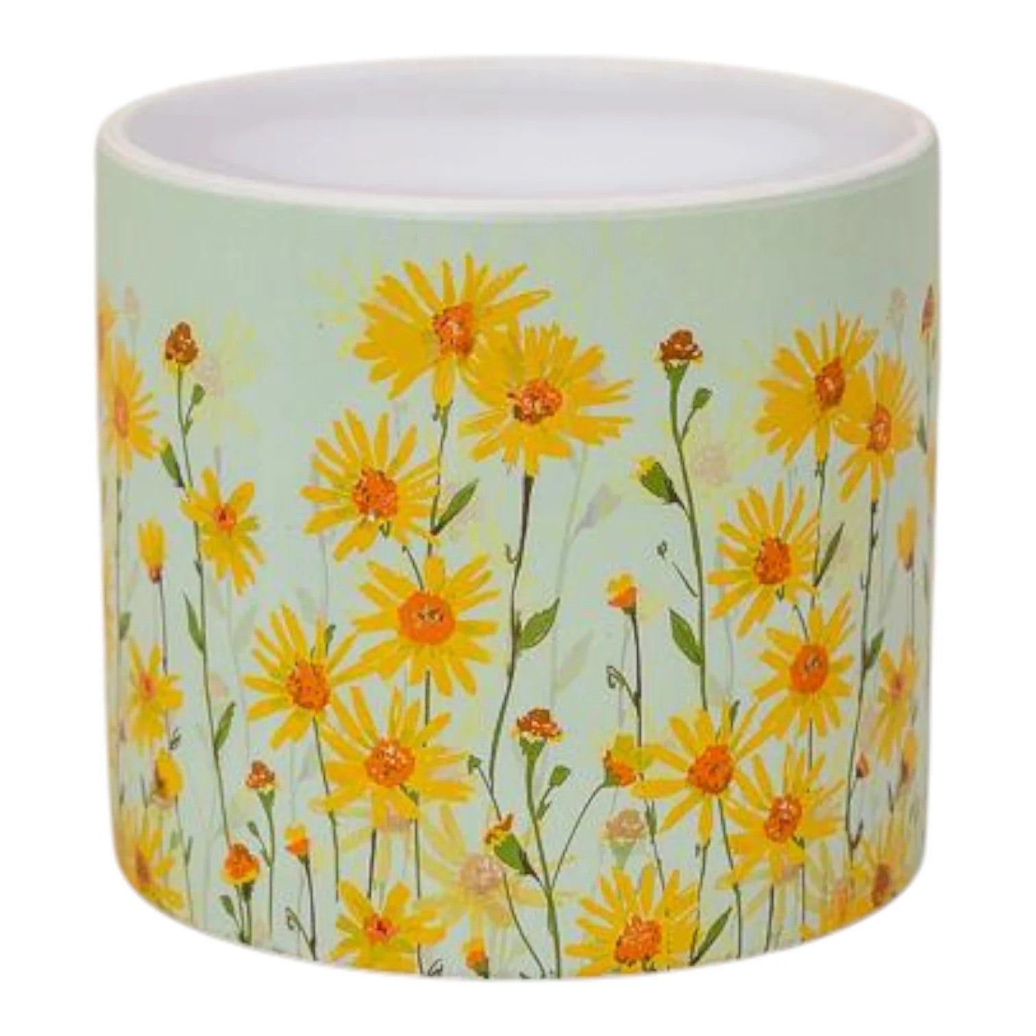 Daisy Field Pot
