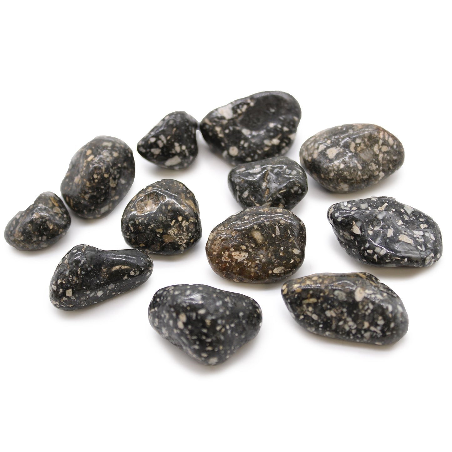 African Tumble Stones - Guinea Fowl