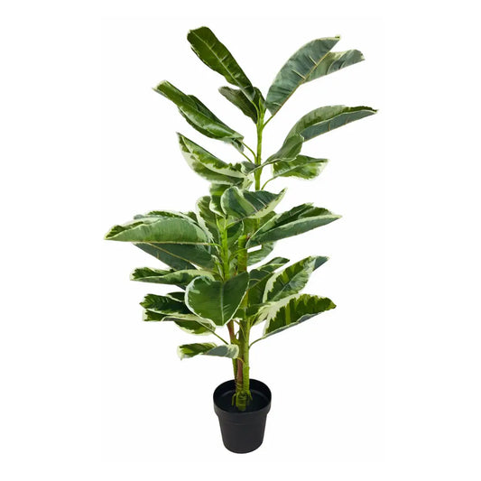 Artificial Large 110cm Rubber Ficus