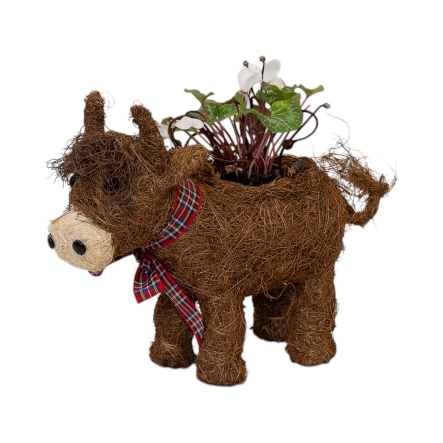 Highland Cow with Tartan Scarf TD 9cm
