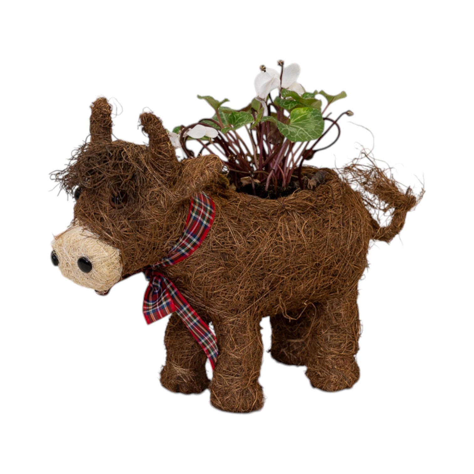 Highland Cow with Tartan Scarf TD 9cm