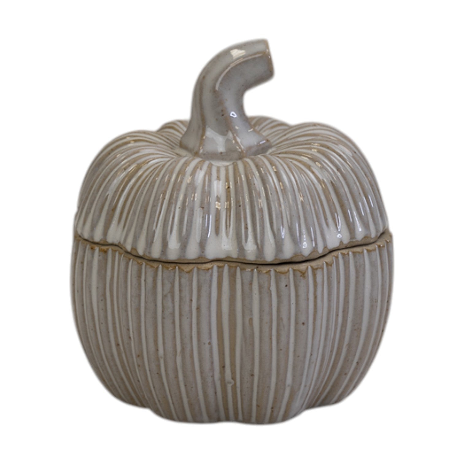 Ceramic Pumpkin Pot