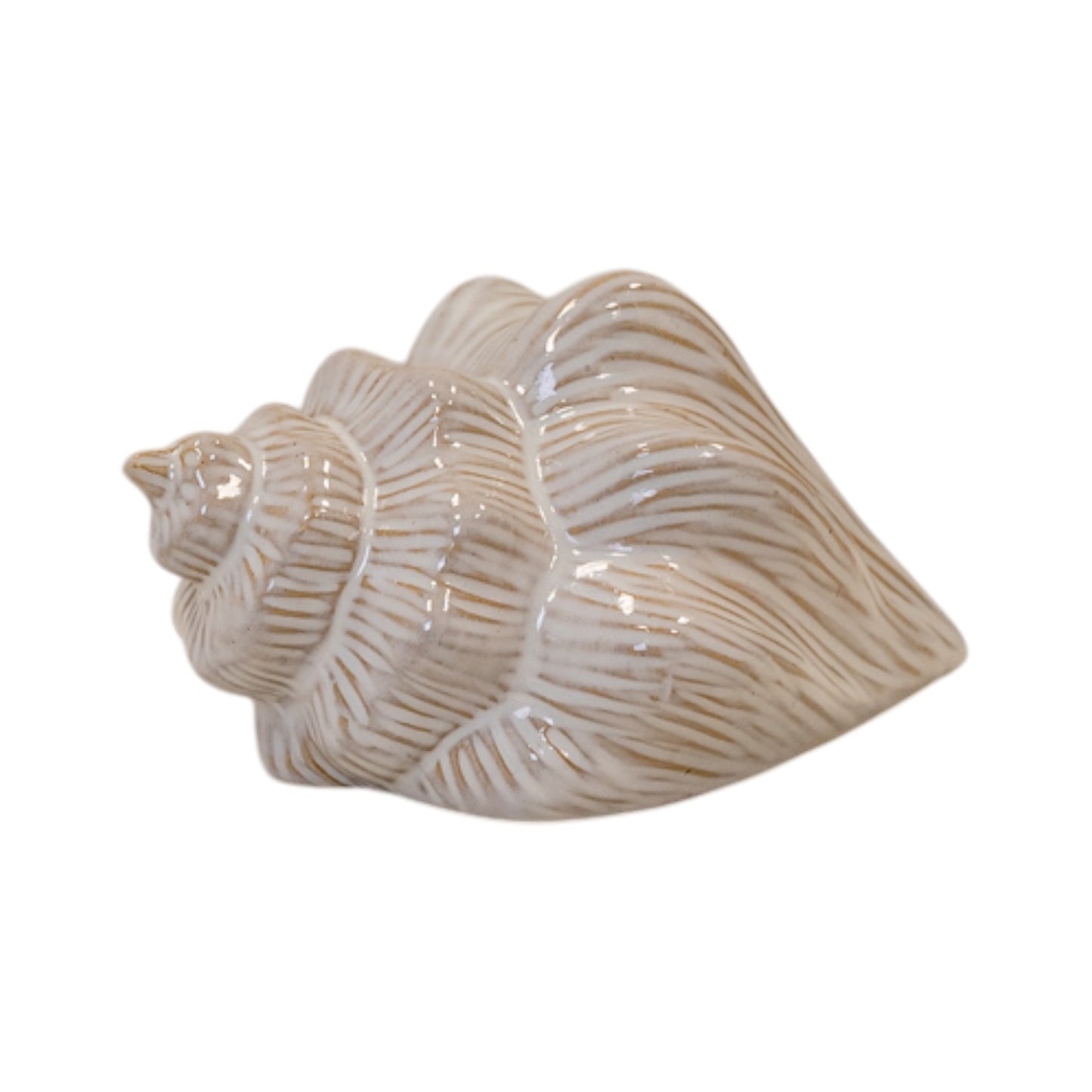 Glazed Ceramic Shell Ornament with Textured Detail