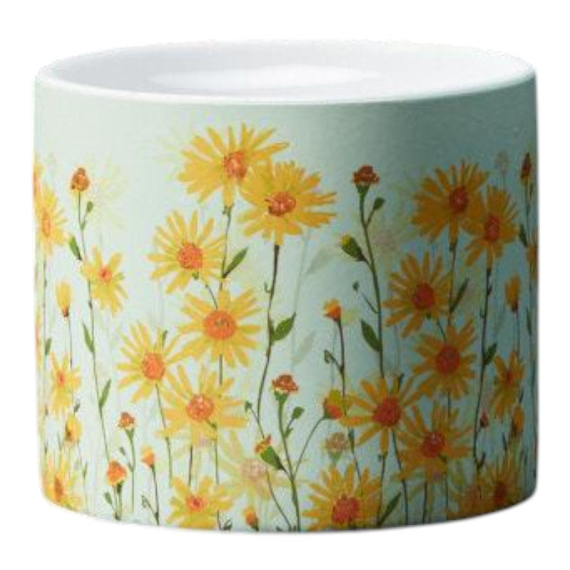 Daisy Field Pot H10.5cm