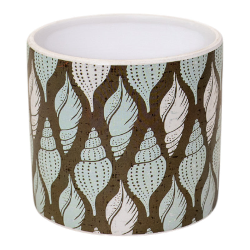 Tulip Shell Pot H12.5cm