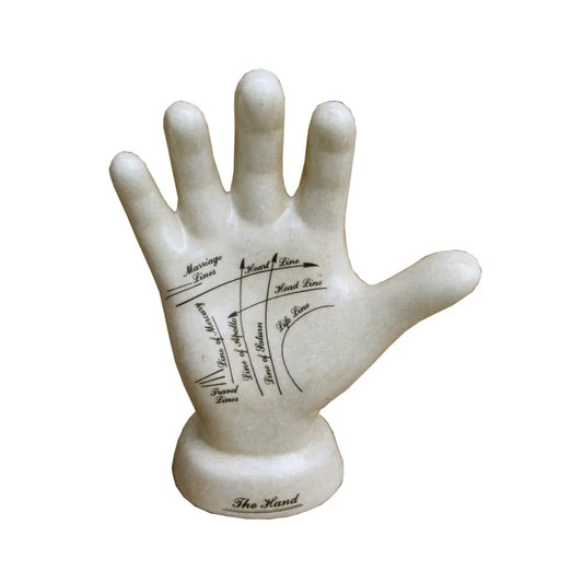 Ceramic Palmistry Hand 24cm