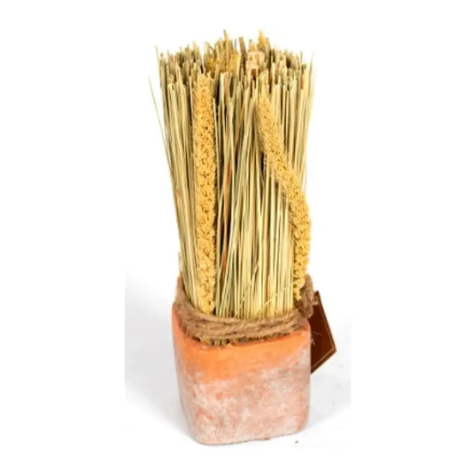 Corn Dried Grass Bouquet in Terracotta Pot