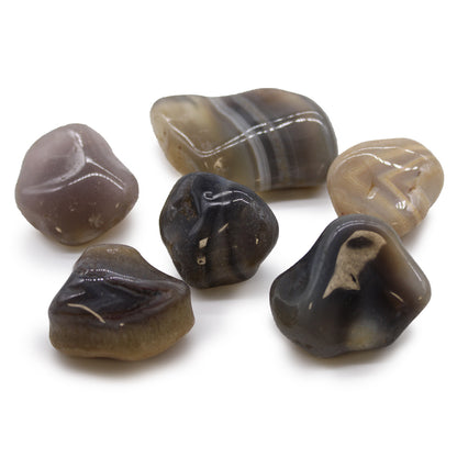 African Tumble Stones - Grey Agate - Botswana