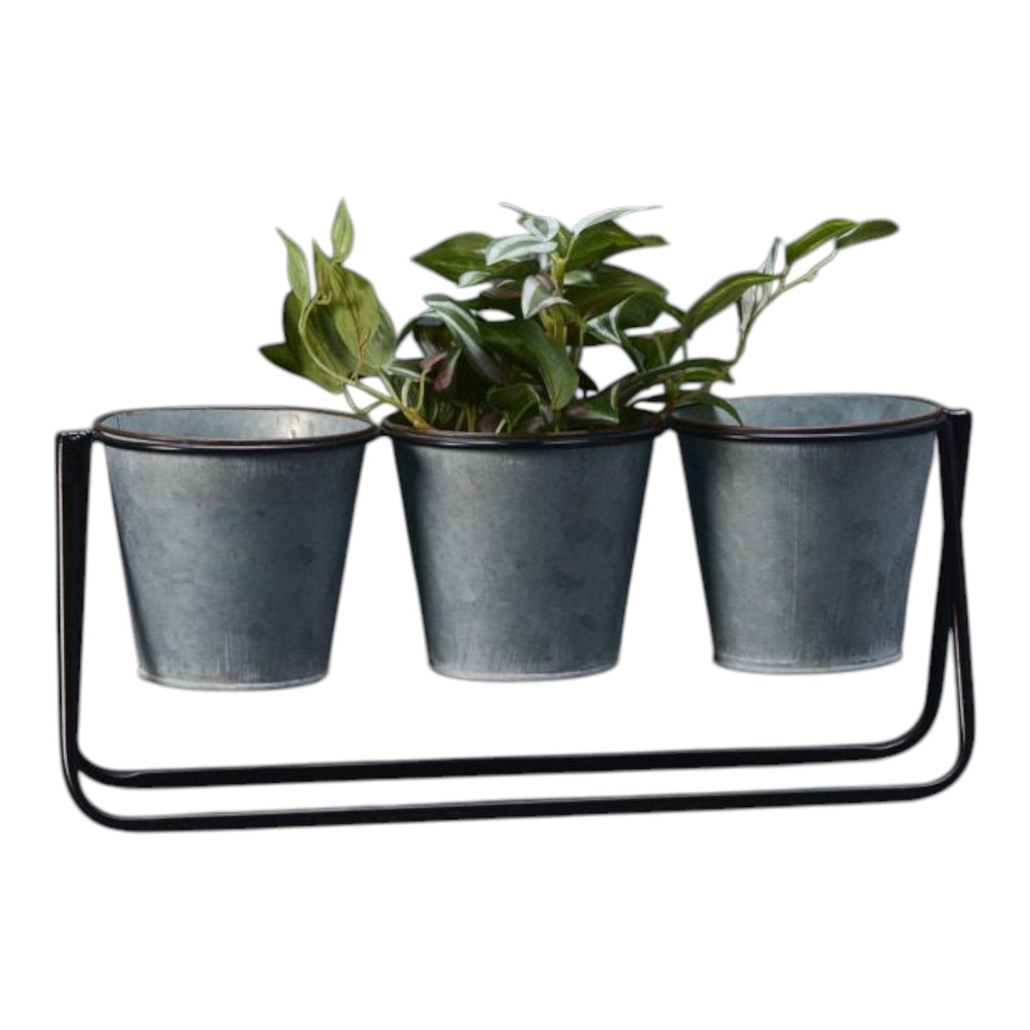 Windowsill Trio Pots H10.8cm