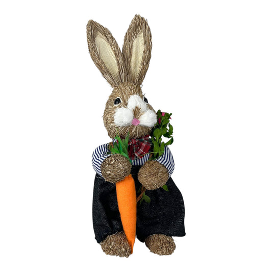 Rabbit Holding A Carrot