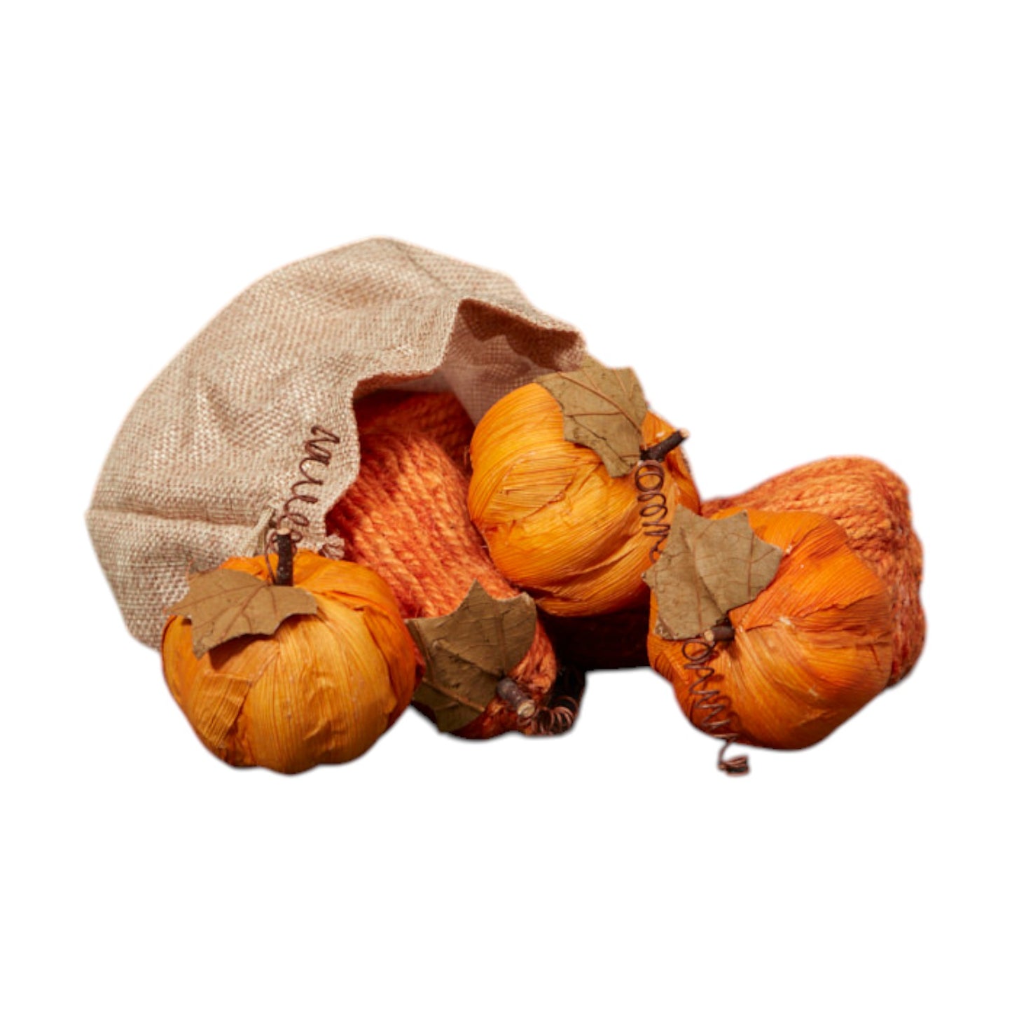 Bag of Six Pumpkins