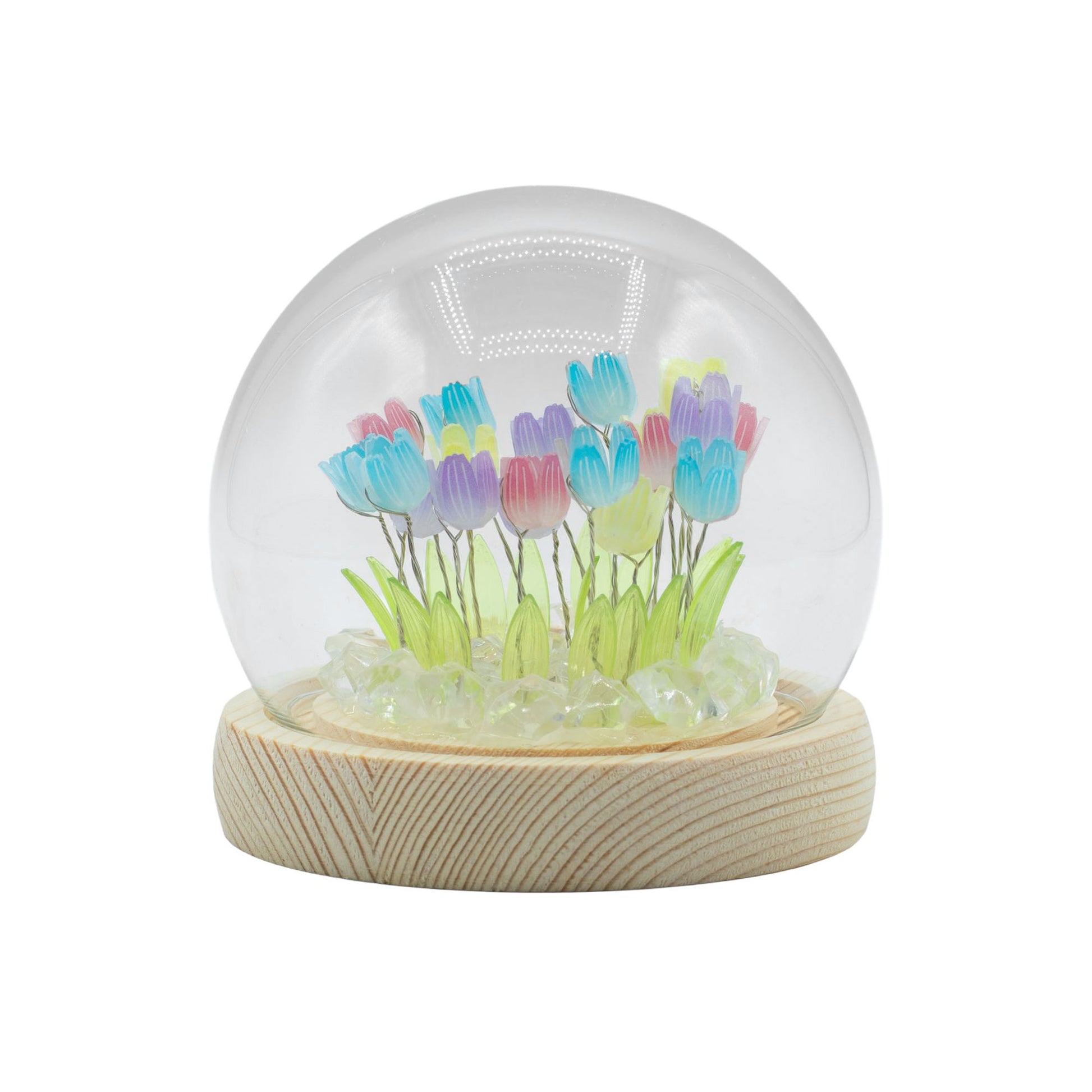 Floral Glow Garden Dome - 20 Multi Tulips - LED USB