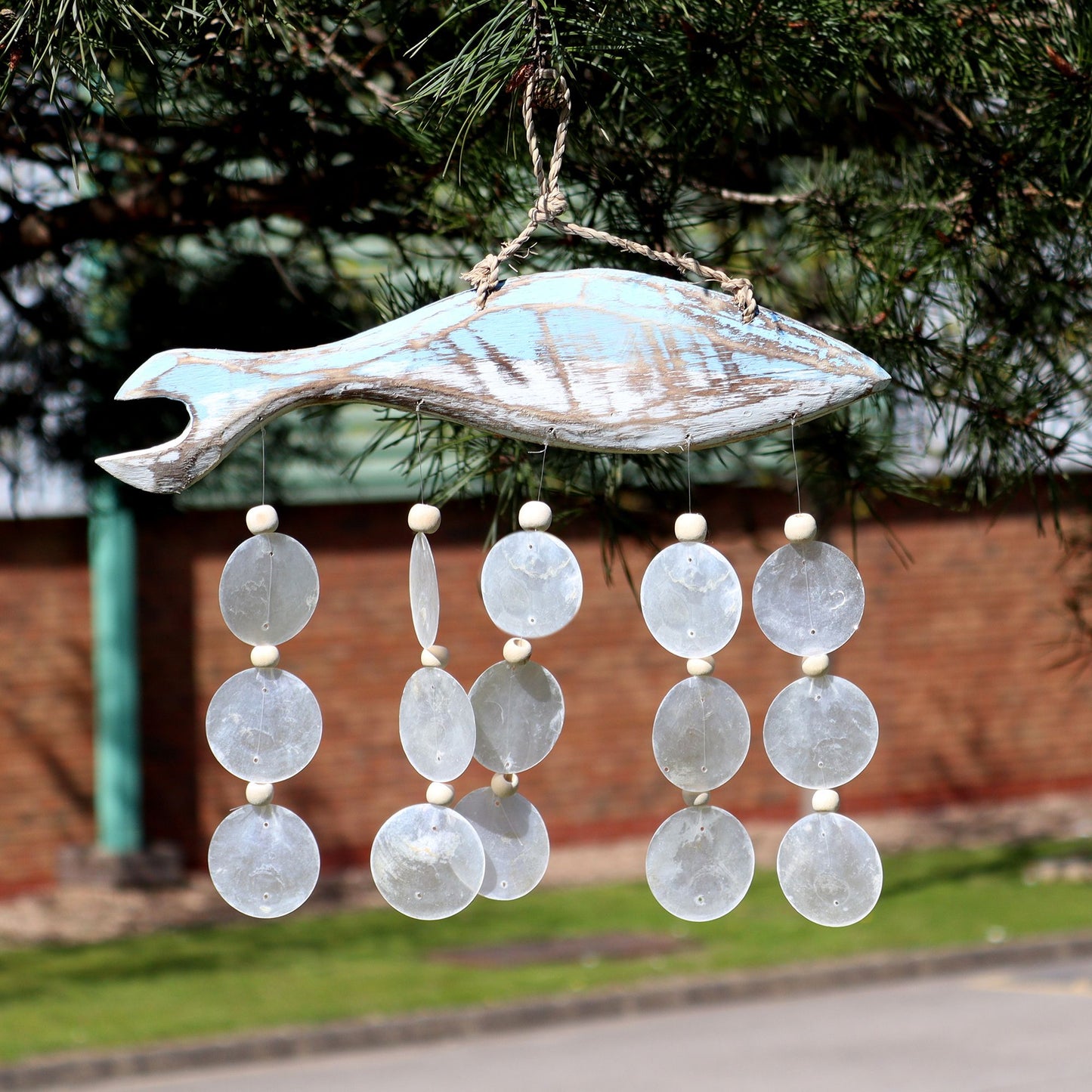 Bluewash Fish Carving and Natural Copis Drop