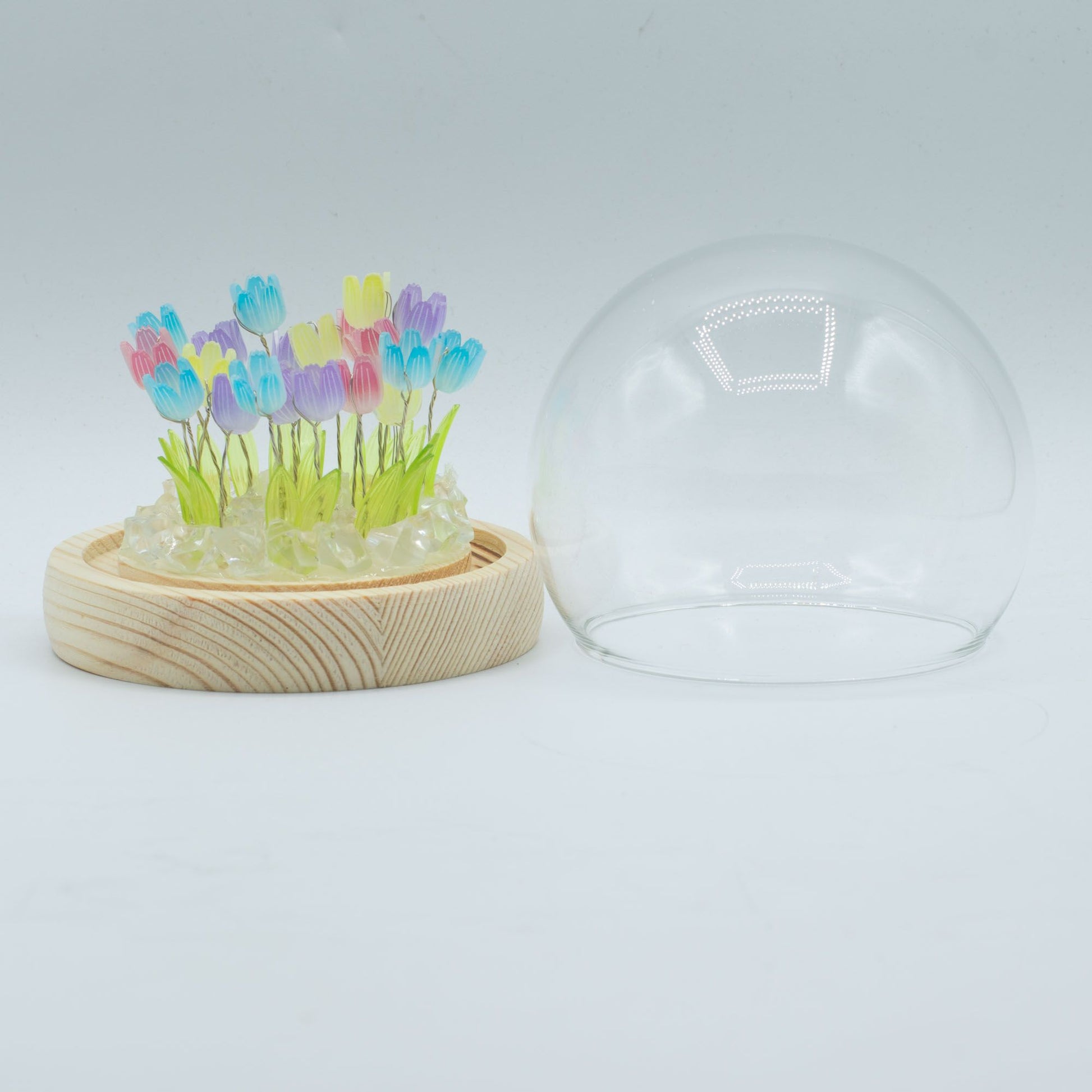 Floral Glow Garden Dome - 20 Multi Tulips - LED USB