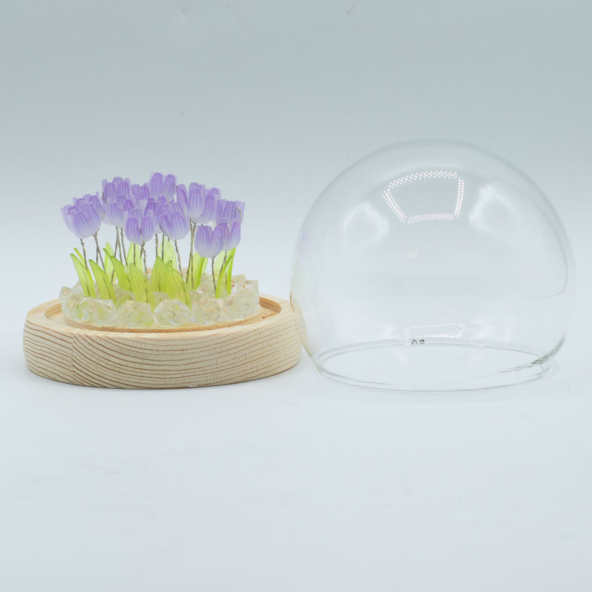 Floral Glow Garden Dome - 20 Tulips - LED USB