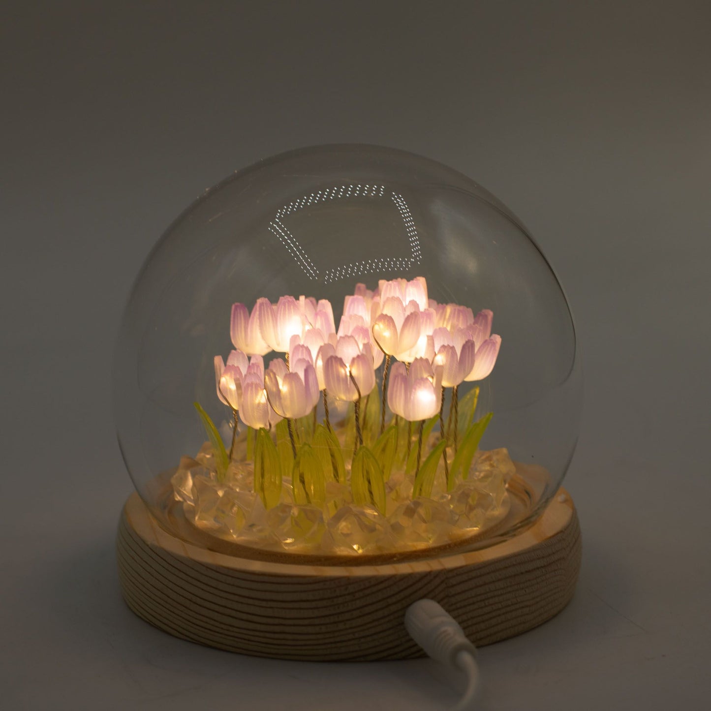 Floral Glow Garden Dome - 20 Tulips - LED USB