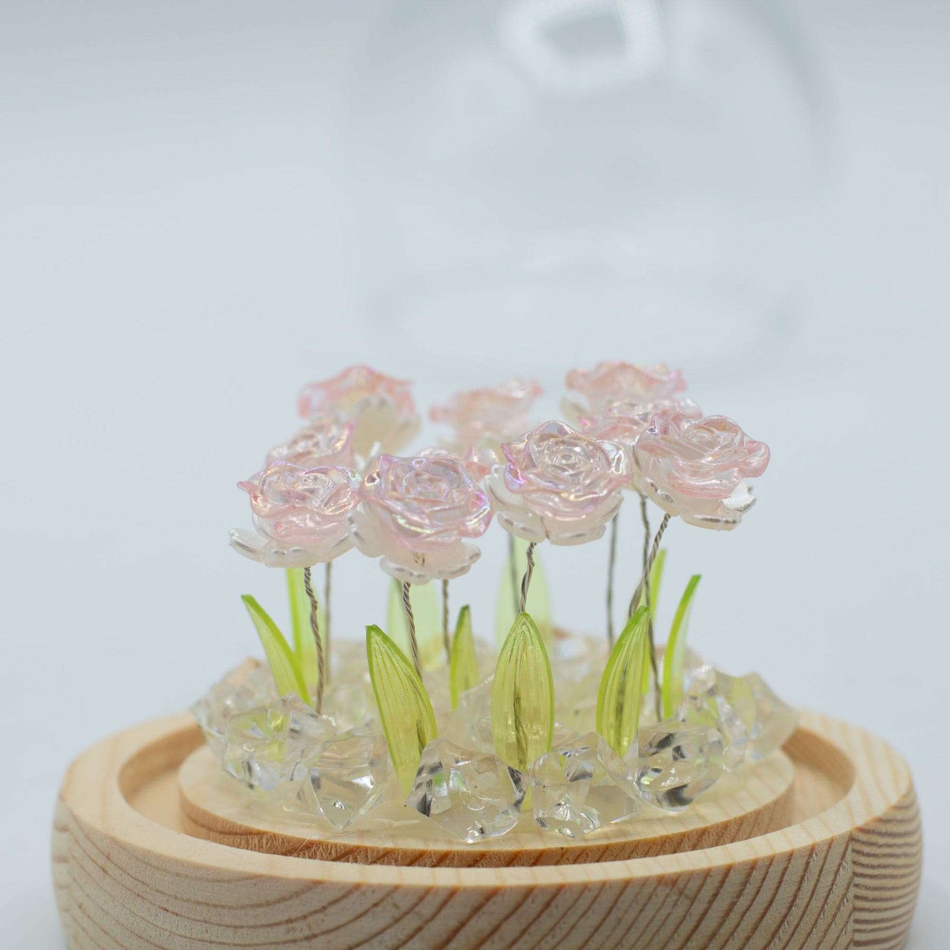 Floral Glow Garden Dome - 10 Pink Roses - LED USB