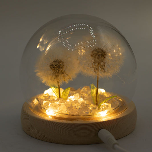 Floral Glow Garden Dome - 2 Dandelions - LED USB