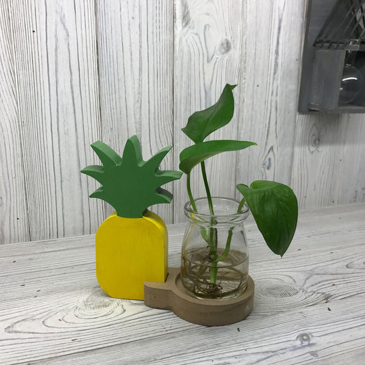 Pineapple Pot