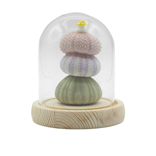 Floral Glow Garden Dome - 3 Sea Urchins - LED USB
