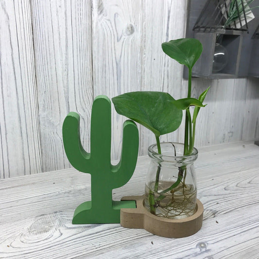 Cactus Pot