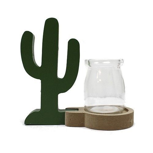 Cactus Pot