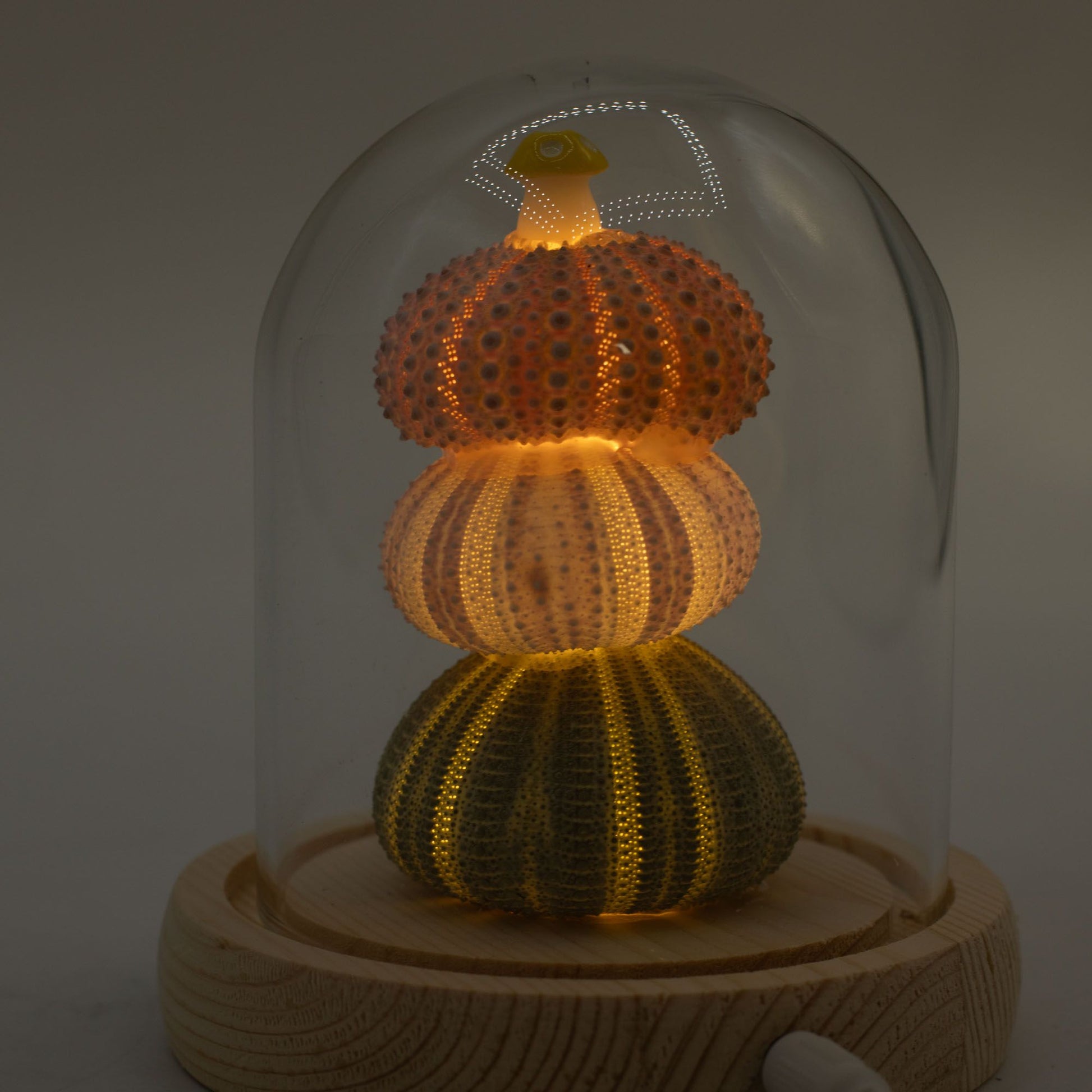 Floral Glow Garden Dome - 3 Sea Urchins - LED USB