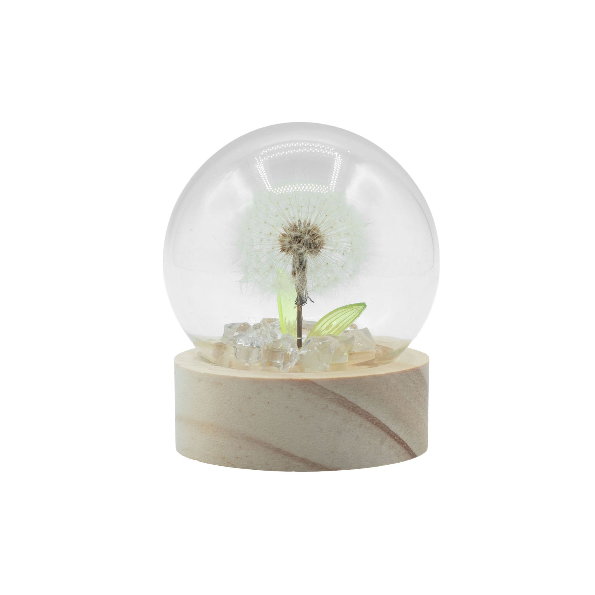 Floral Glow Garden Dome - 1 Dandelion- LED Battery