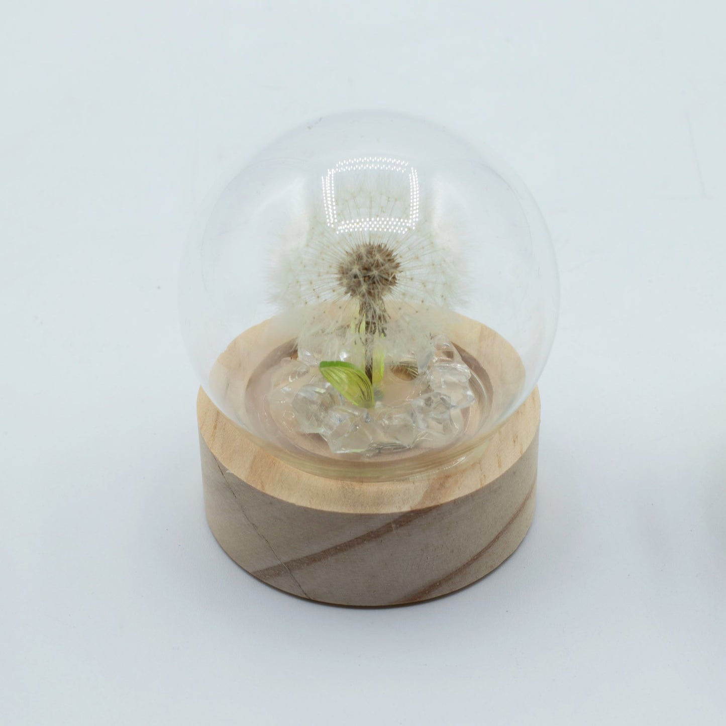 Floral Glow Garden Dome - 1 Dandelion- LED Battery