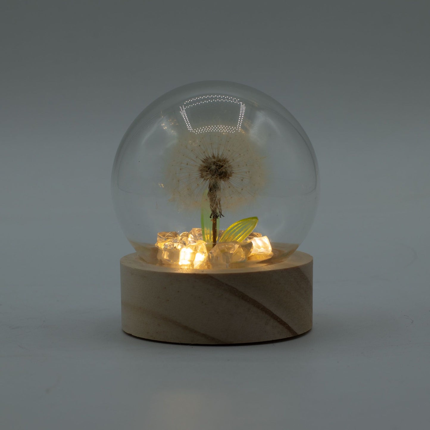 Floral Glow Garden Dome - 1 Dandelion- LED Battery