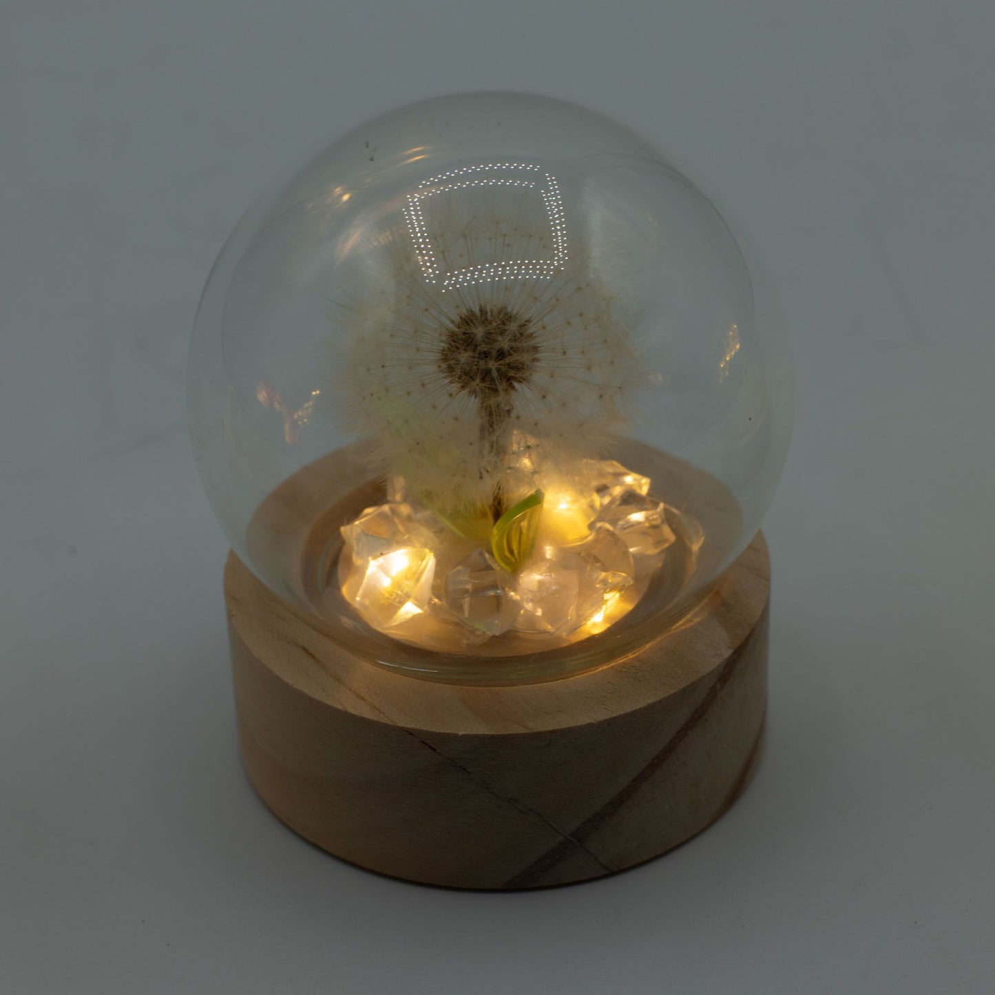 Floral Glow Garden Dome - 1 Dandelion- LED Battery