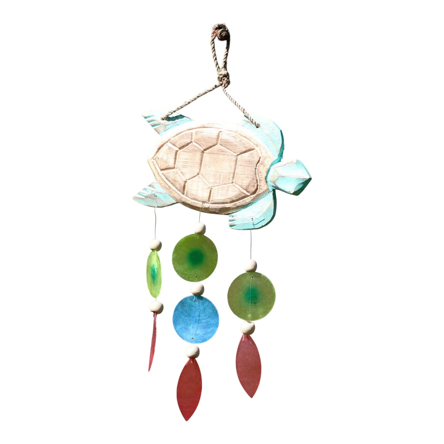Aqua Turtle Carving and Copis Drop