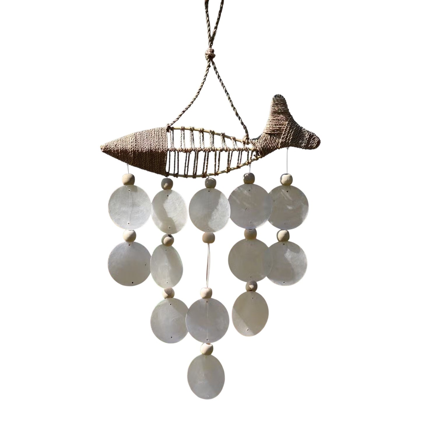 String Fish and Natural Copis Drop