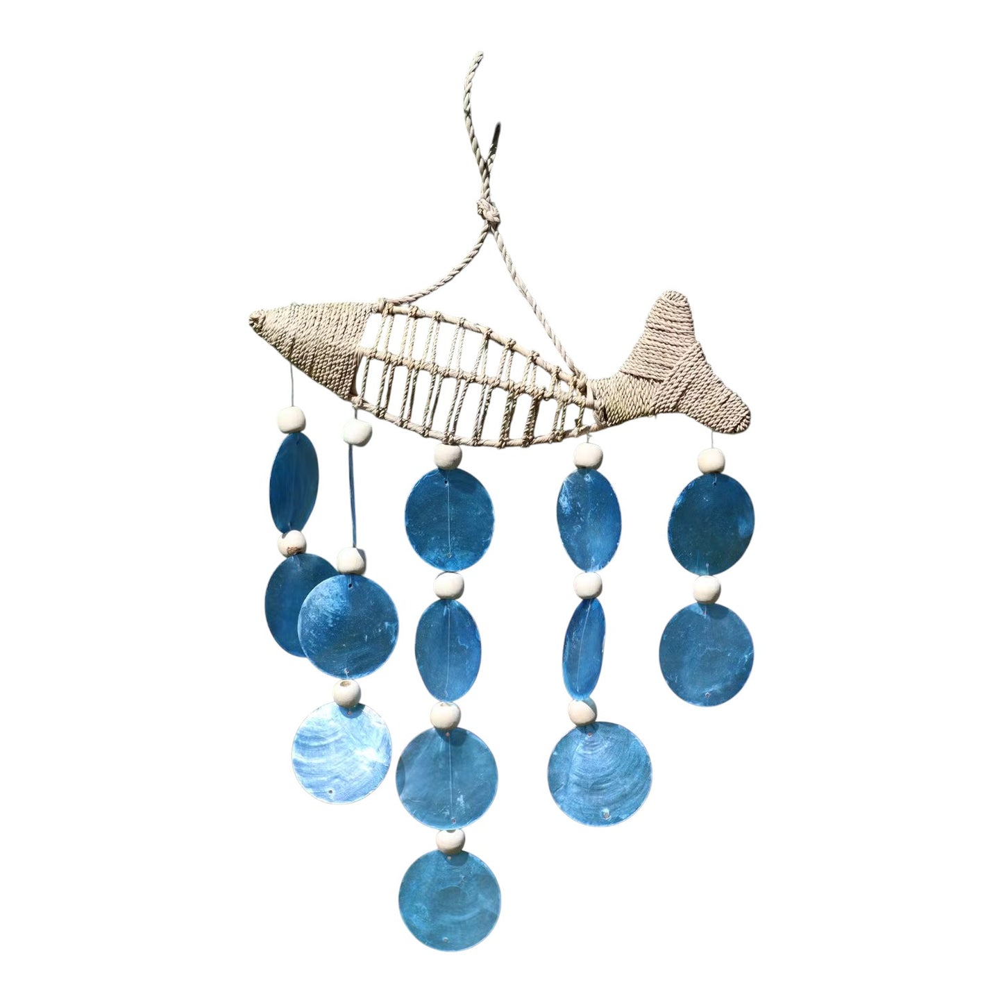 String Fish and Blue Copis Drop