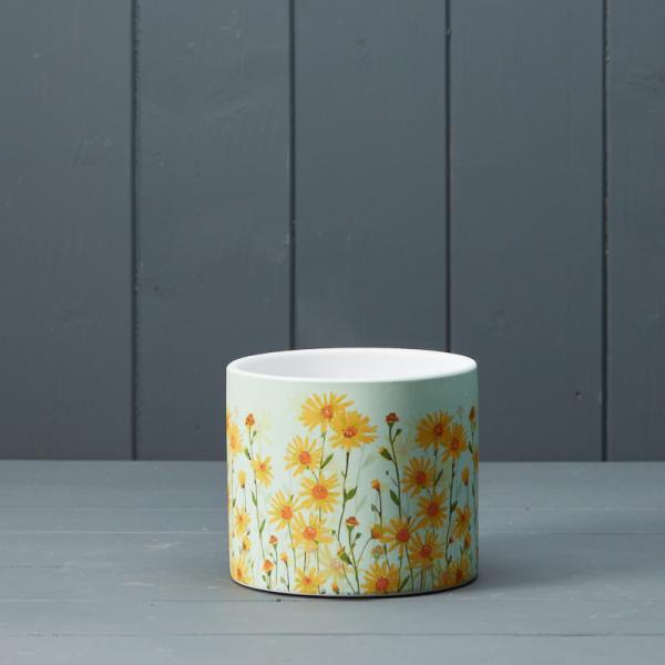Daisy Field Pot H10.5cm