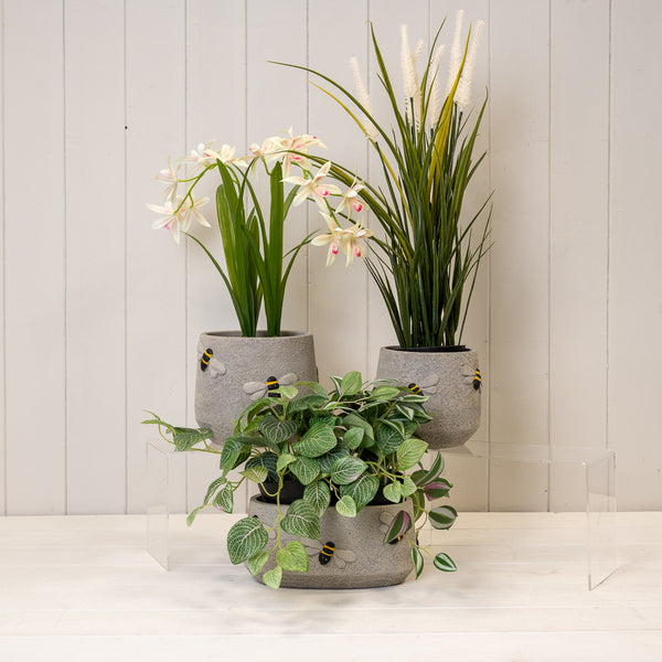 Cement Bee Planter L16xw16xH14cm