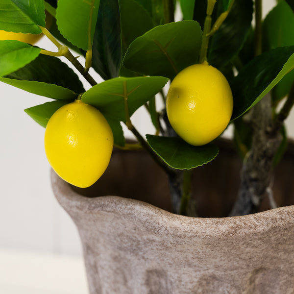 Artificial Lemon Tree Medium