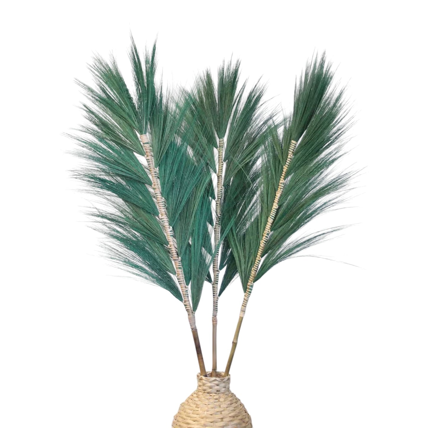 Rayung Grass Green  - 1.6m