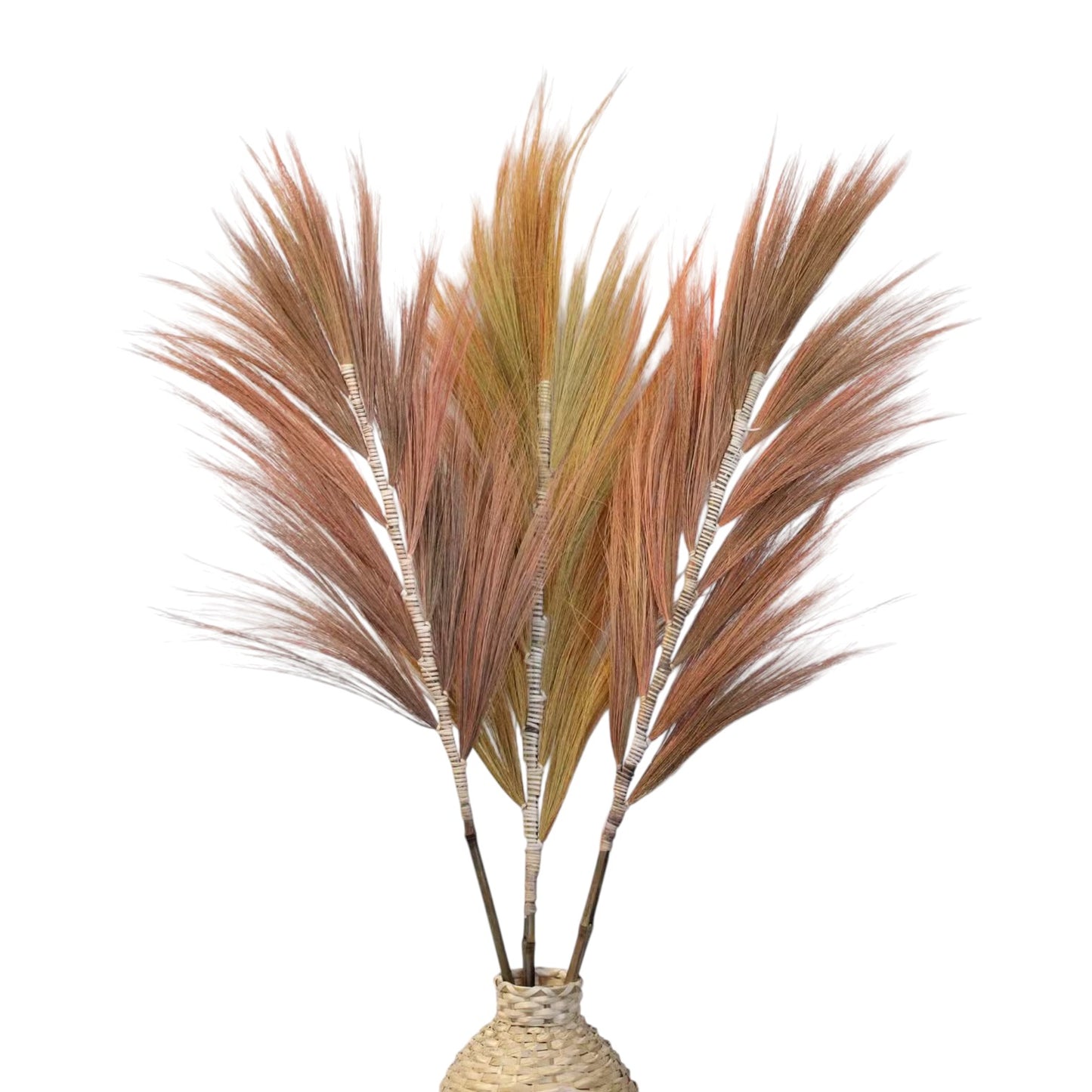Rayung Grass Coral - 1.6m