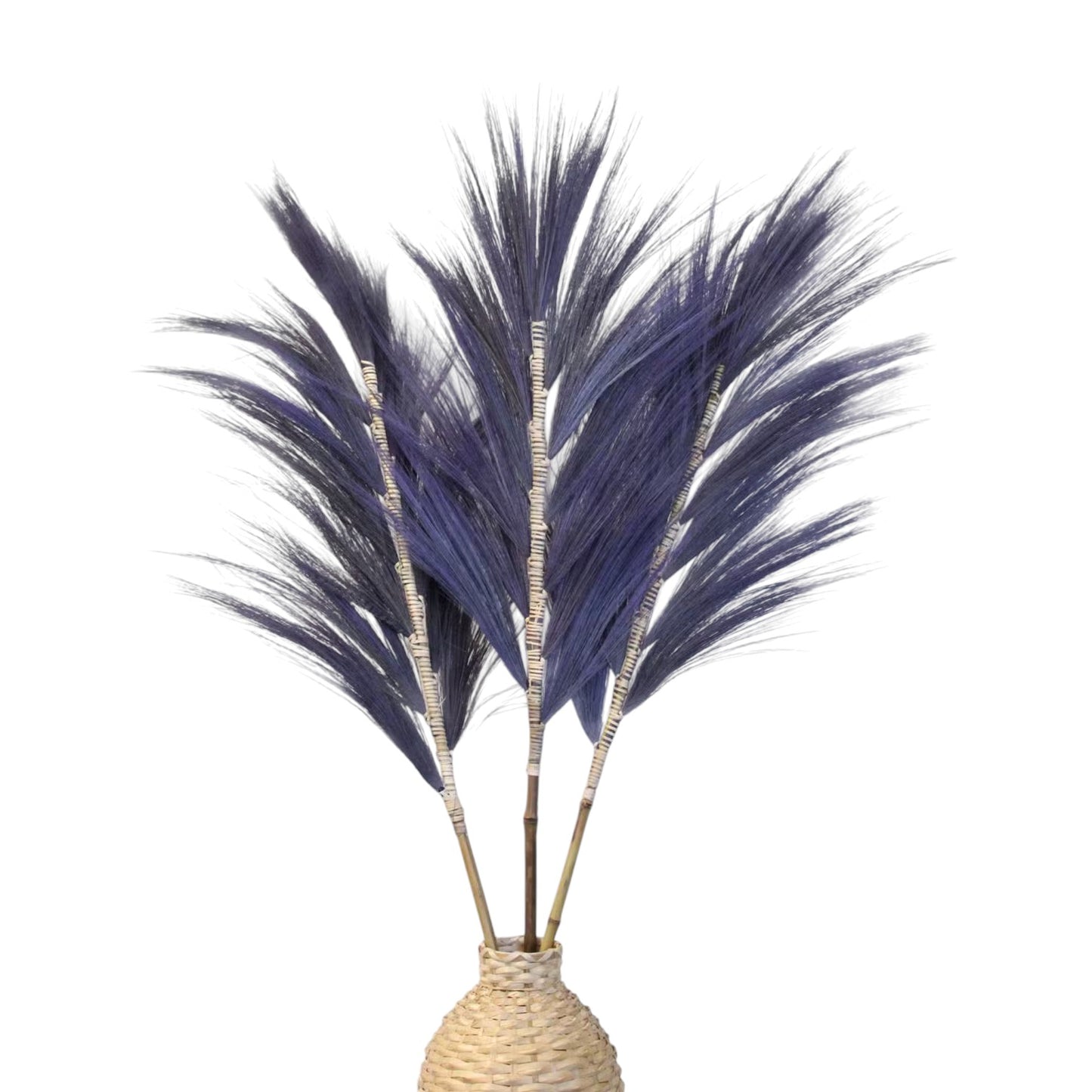 Rayung Grass Lavender- 1.6m
