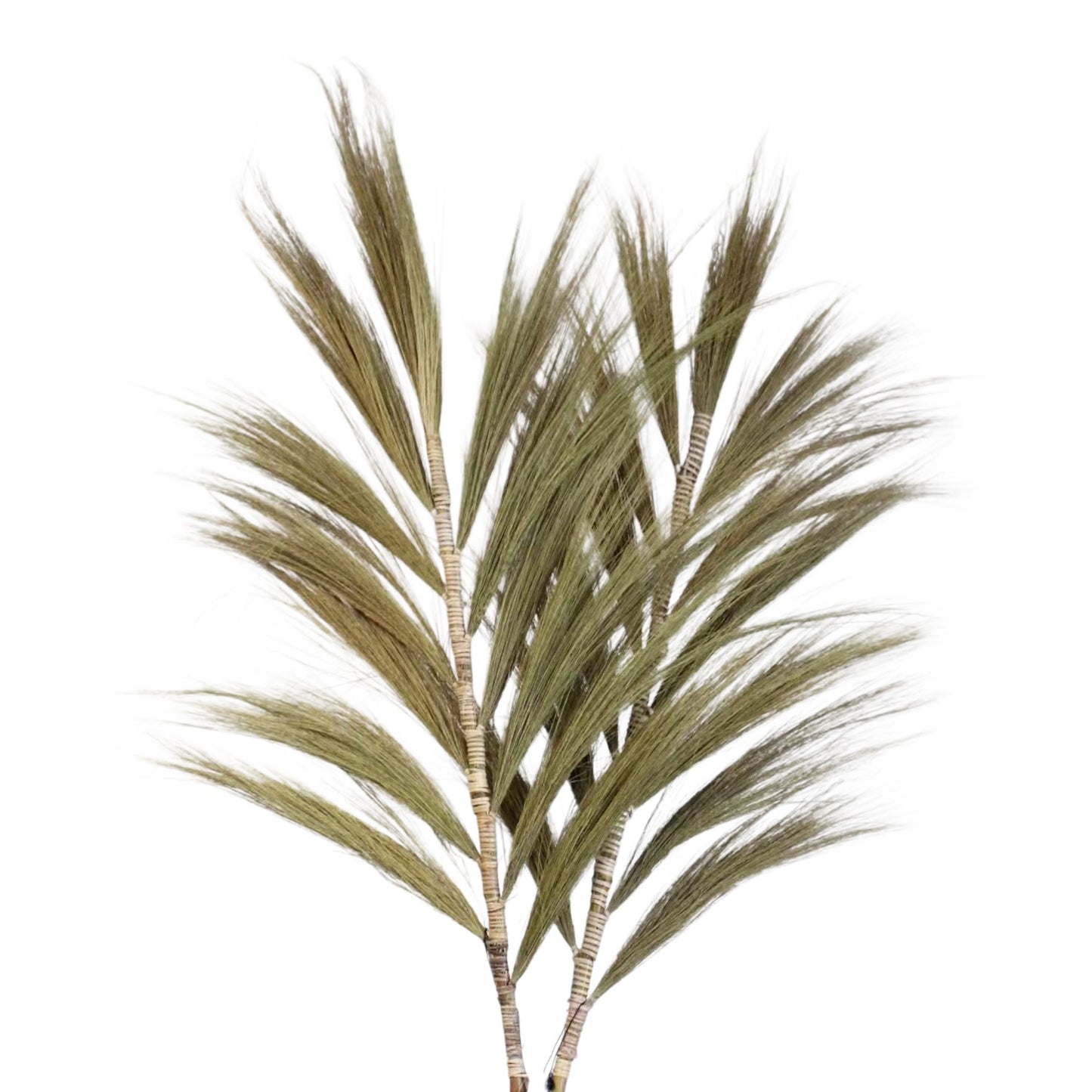 Rayung Grass Natural - 2m