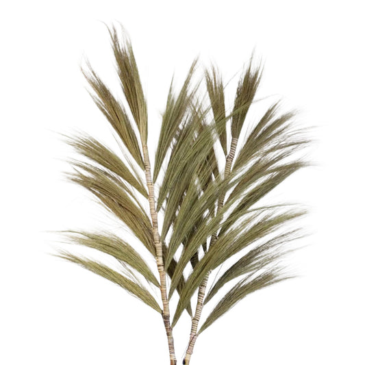 Rayung Grass Natural - 2m