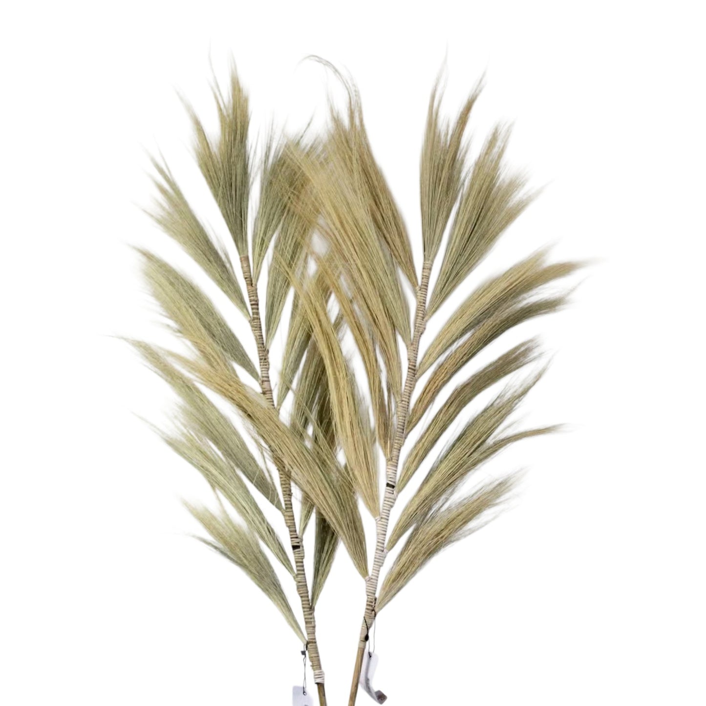 Rayung Grass Blond - 2m
